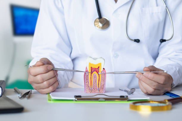 Best Emergency Root Canal Treatment in Pascoag, RI